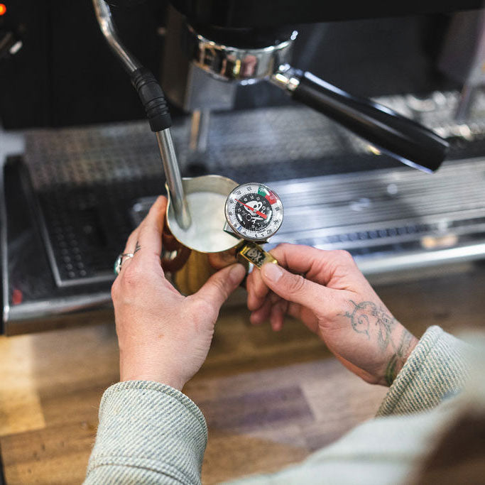 Colored Frothing Pitcher 12oz - Gold